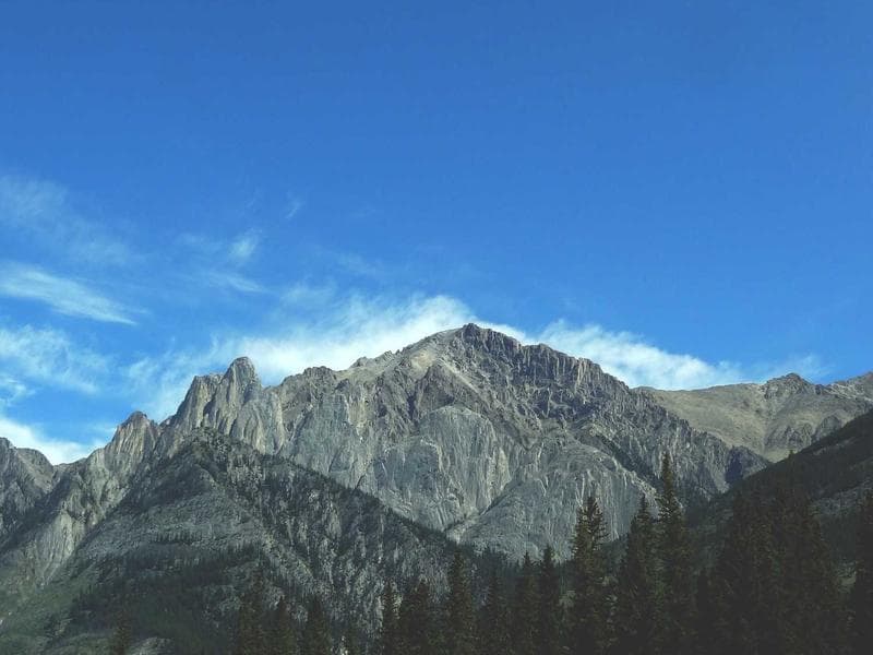 Real-Time Collaboration