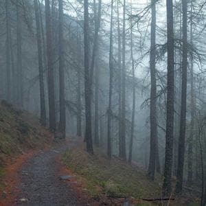 AI-generated fashion editorial