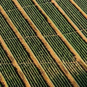 AI-generated product render