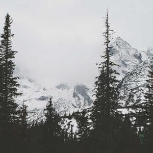 AI-generated sneaker concept