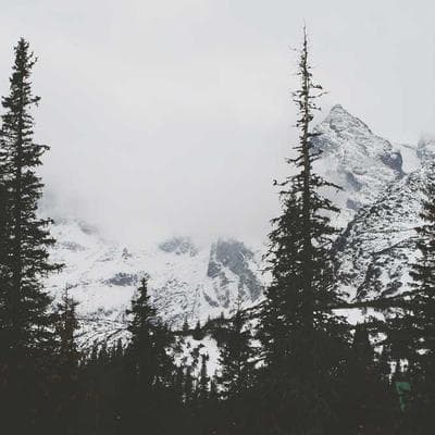 Generated sneaker image