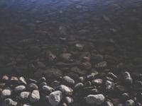 Reference sneaker photo