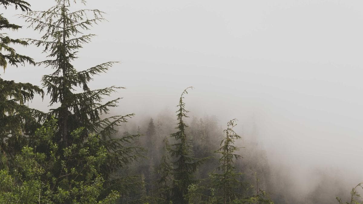 Social content at scale