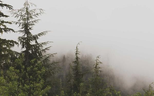 Social content at scale